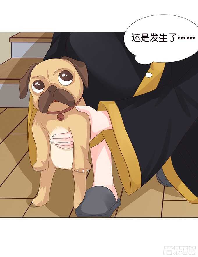 王国的来客20