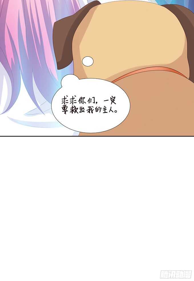 王国的来客29