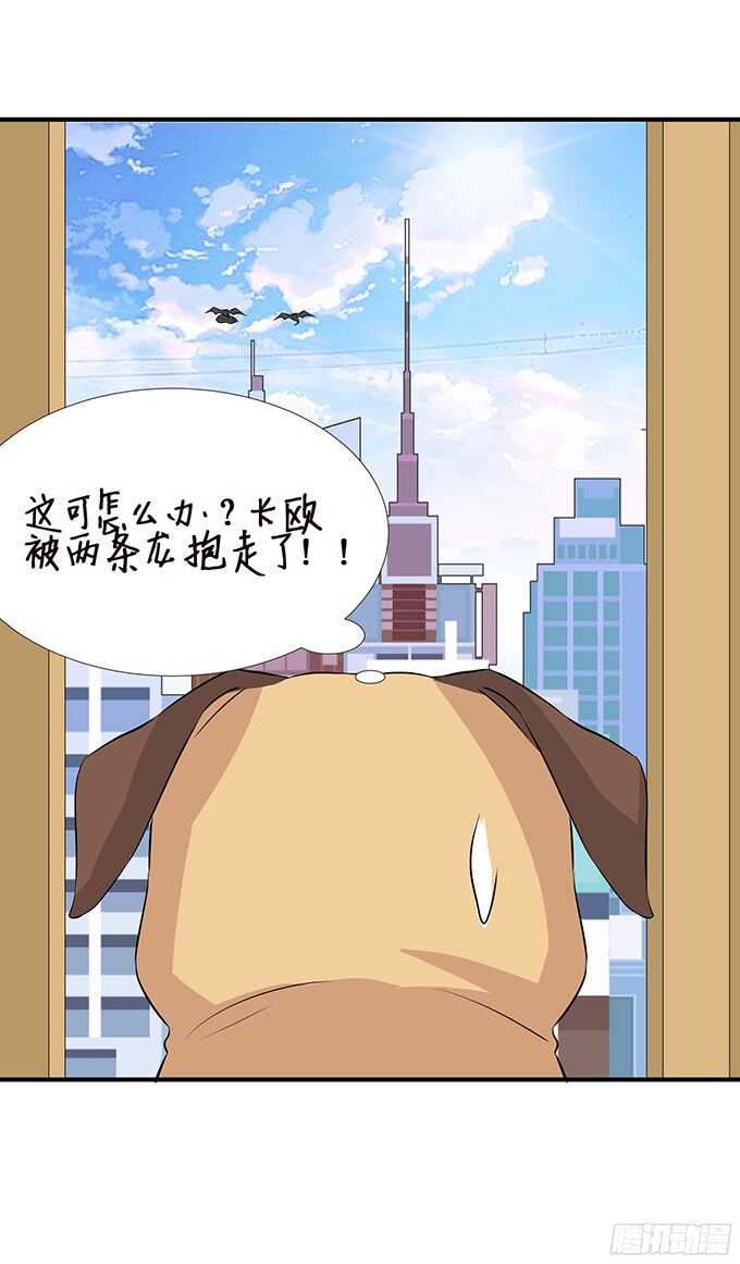 未知的新郎33