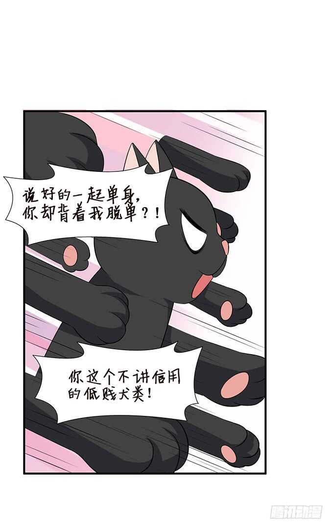 没有你的未来73