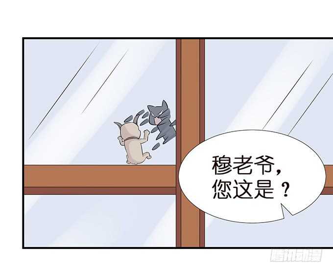 没有你的未来74