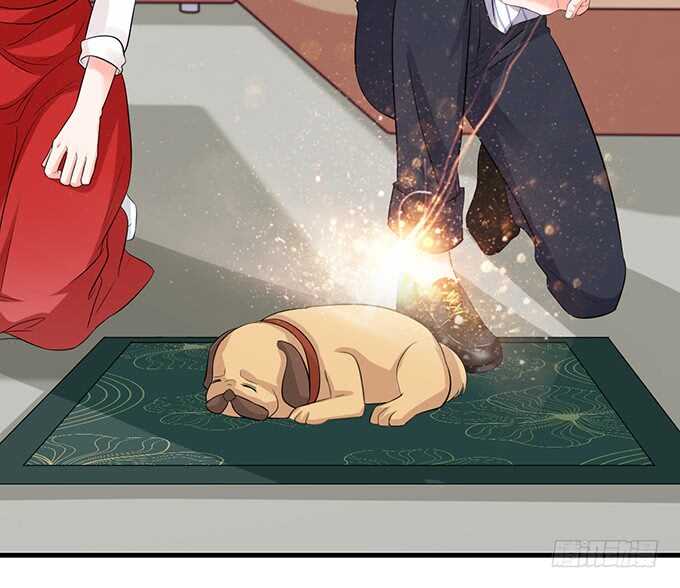 想要你更多13