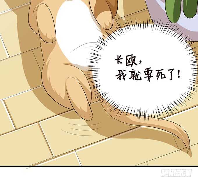 突如其来的危机14