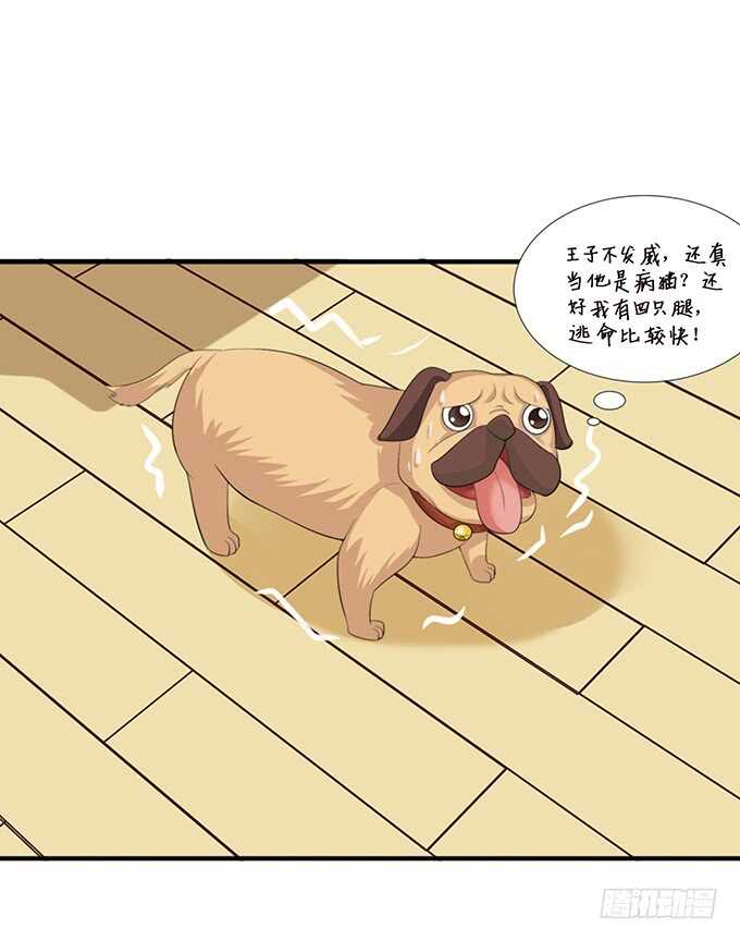 清晨甜蜜之吻29
