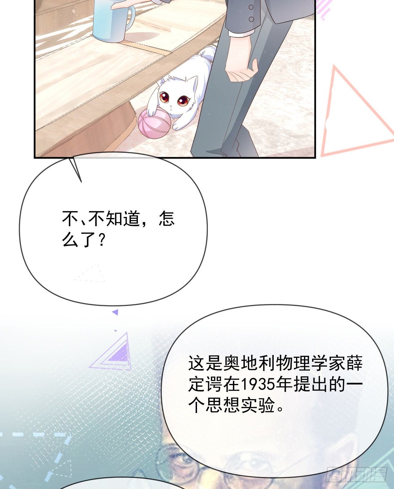 薛定谔的猫20