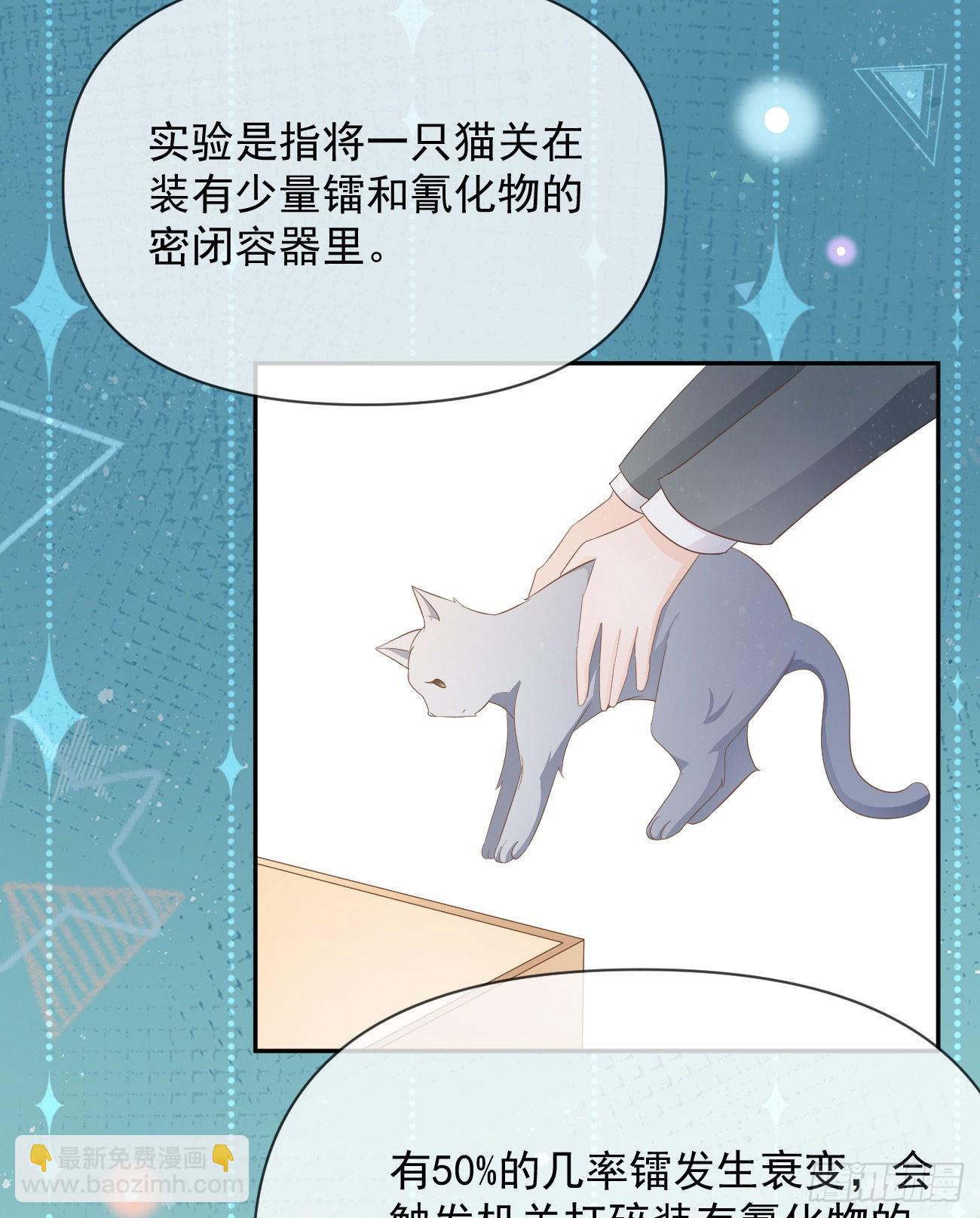 薛定谔的猫22