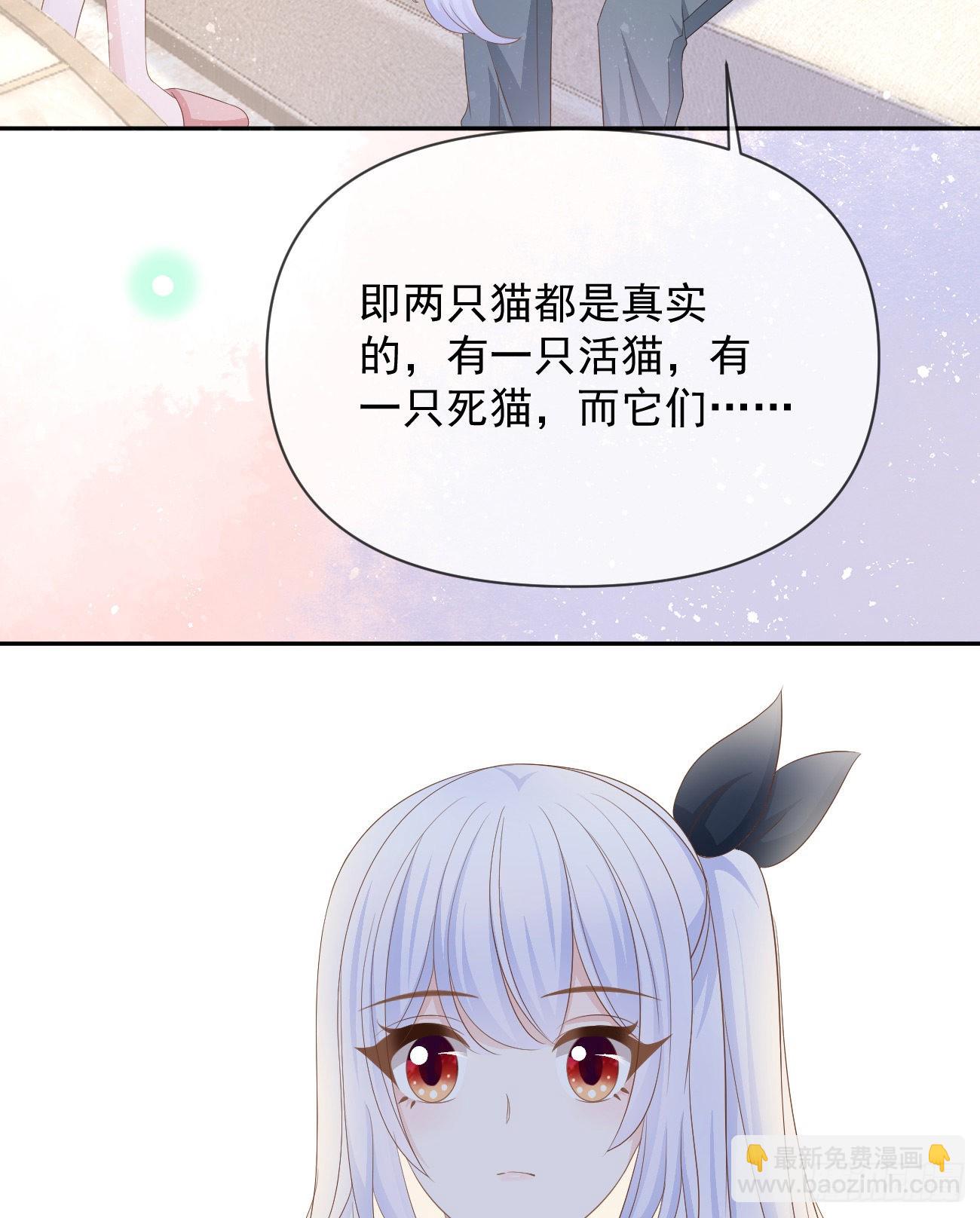 薛定谔的猫27