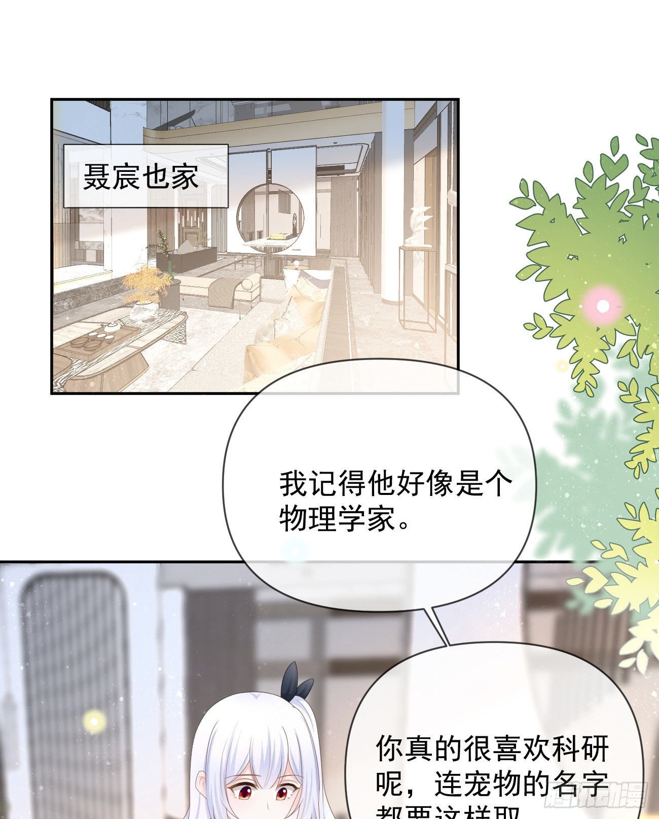 薛定谔的猫3