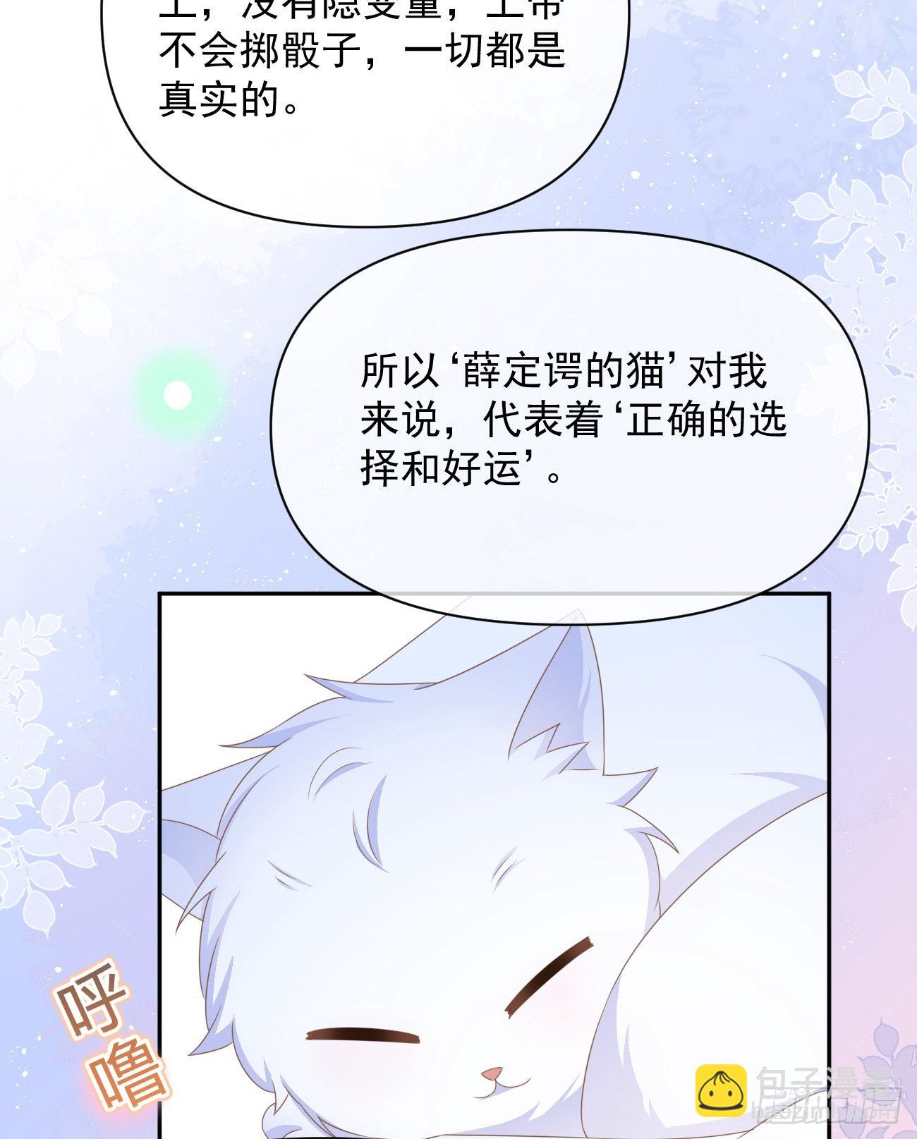 薛定谔的猫33