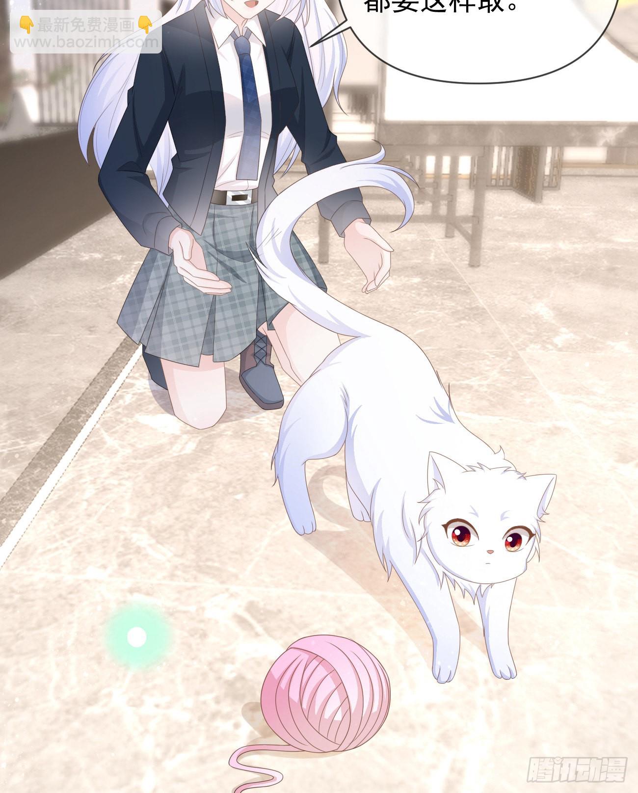 薛定谔的猫4