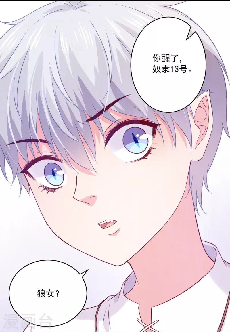 第138话 小白夜是我的17
