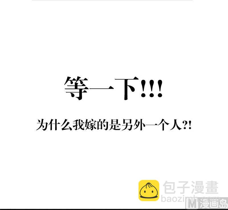 错嫁VS替婚13