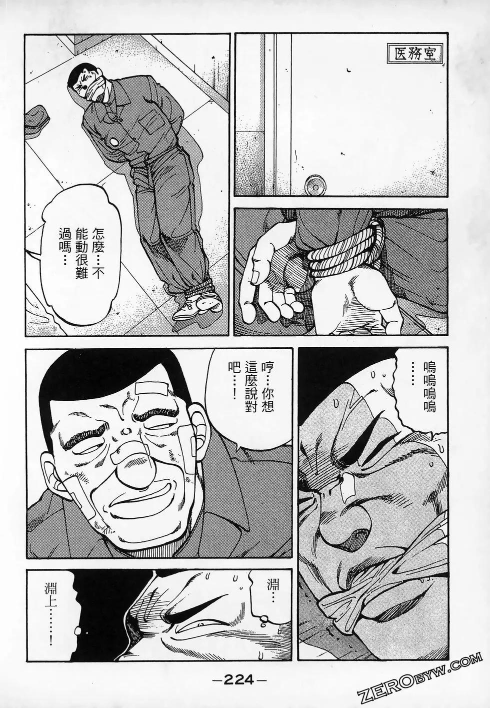 第11卷243