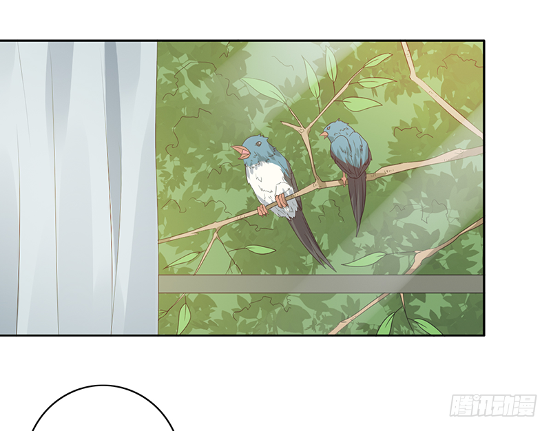 第107话：AD养成计划2