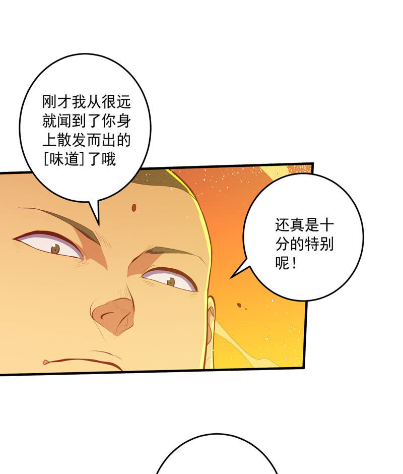 第167话 [浮屠]！29