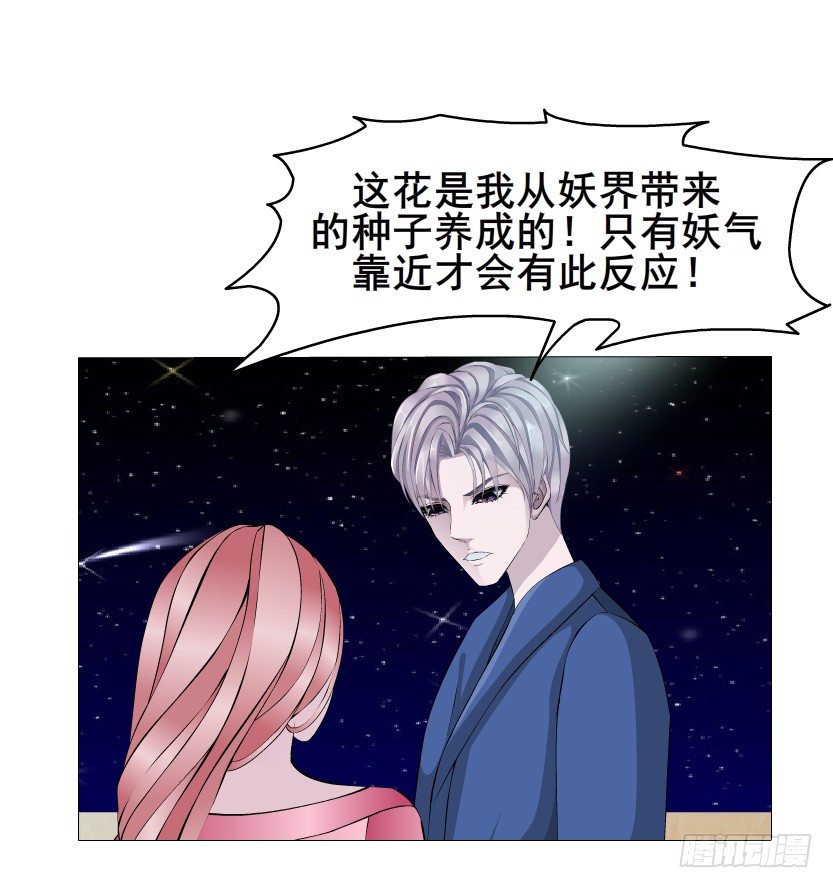 第20集 亲我一口如何？8