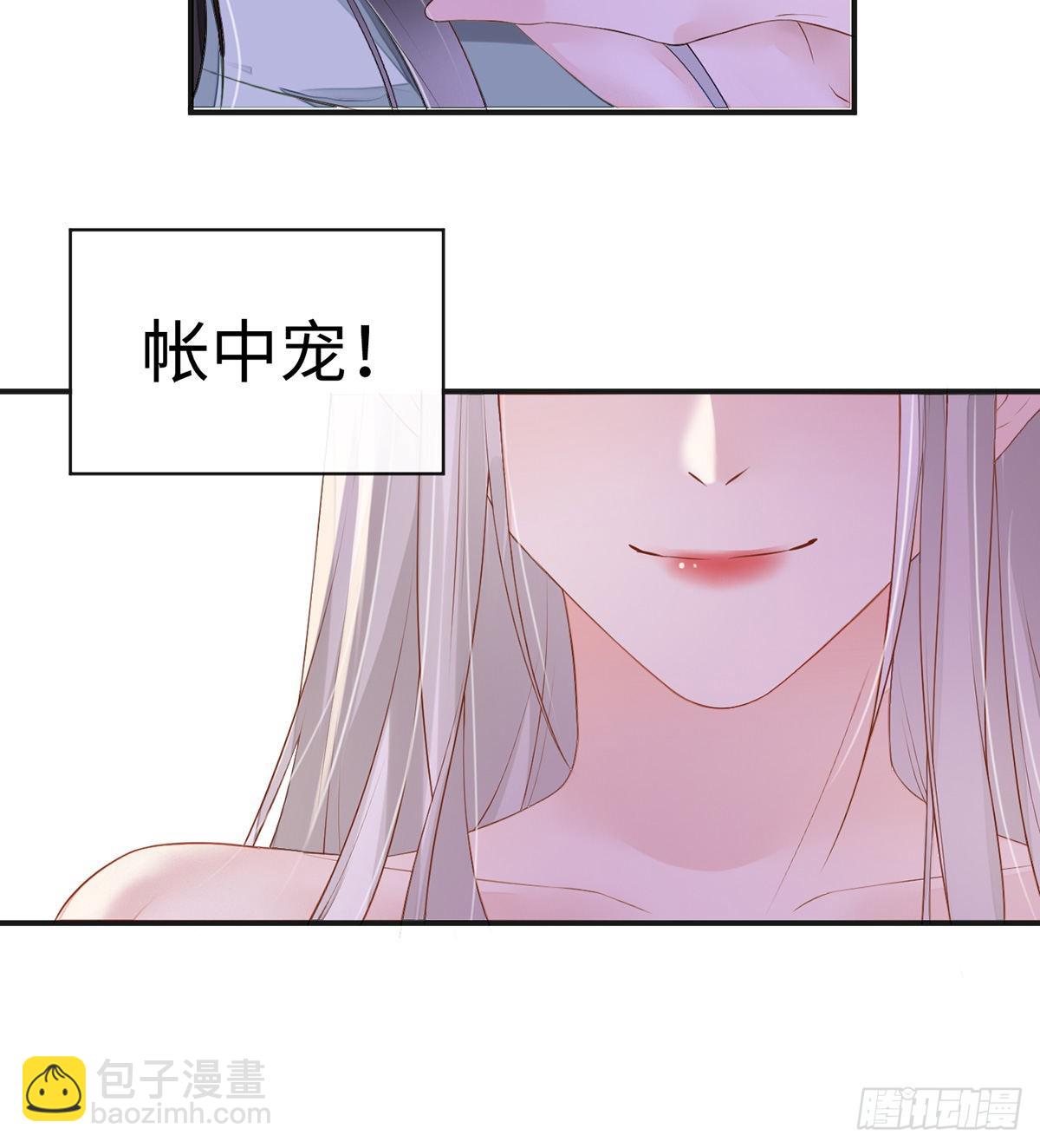 裙下臣，帐中宠10