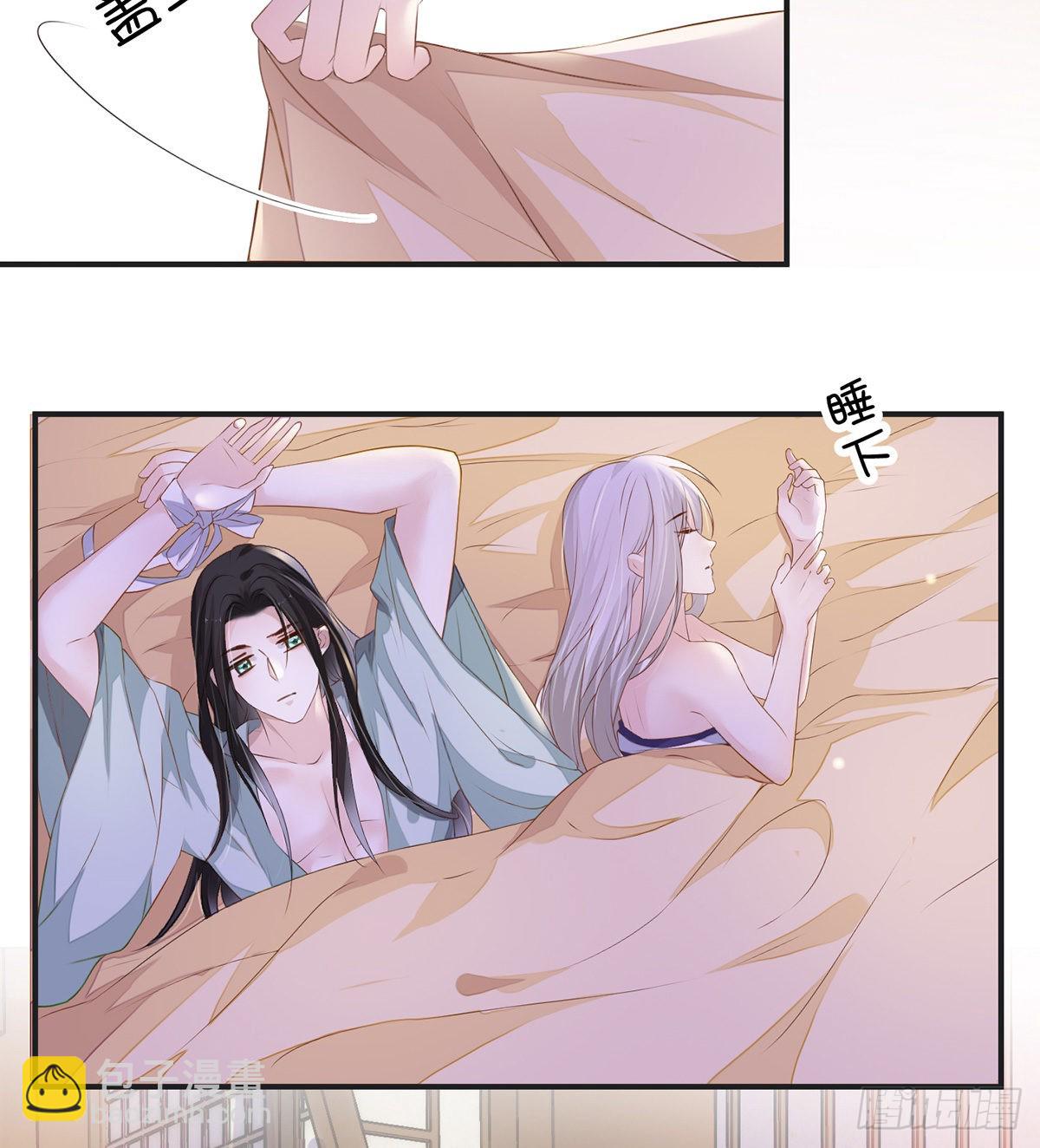 裙下臣，帐中宠22