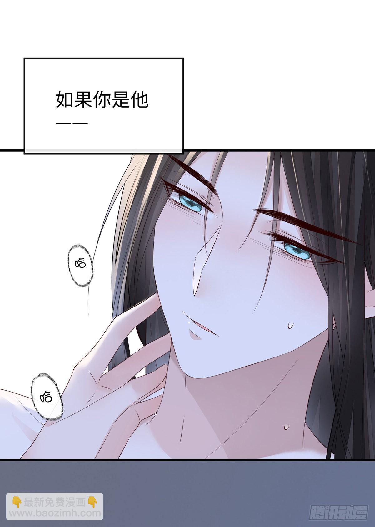 为我驯服12