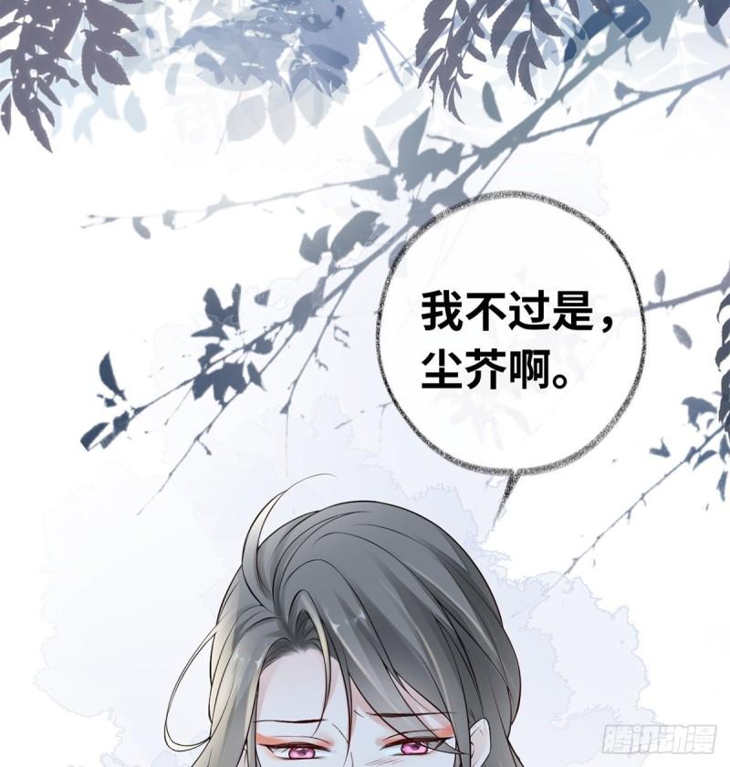 尘芥40