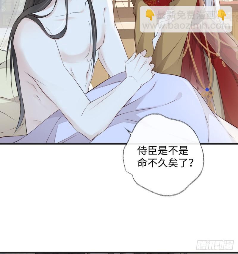 重整旗鼓！54