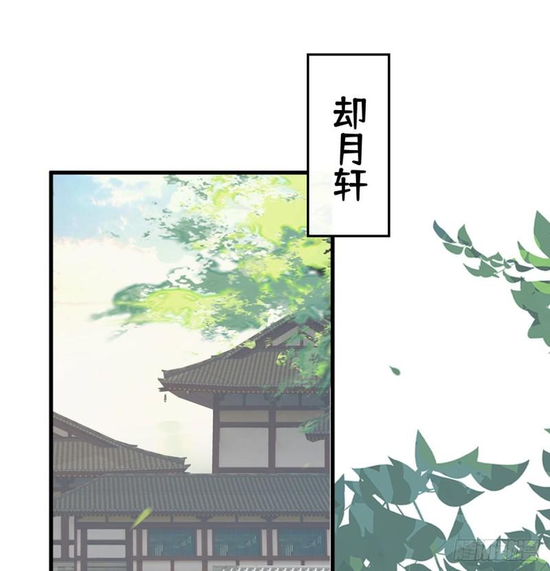 茶艺大师？1