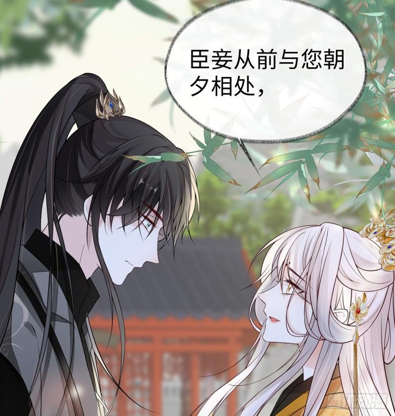 你也从未爱过我5
