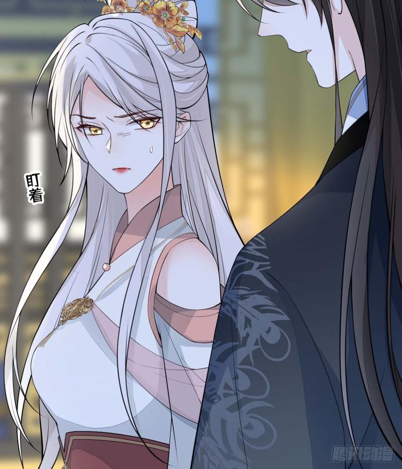 豪赌19