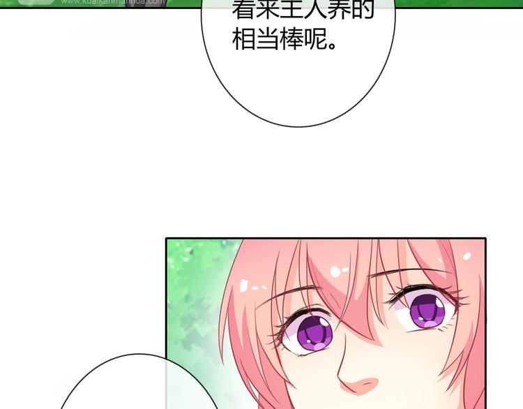 第27话 还不是为了逗你开心！98