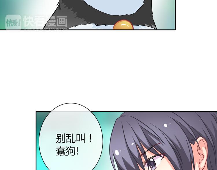 第32话 我要娶你为妻17