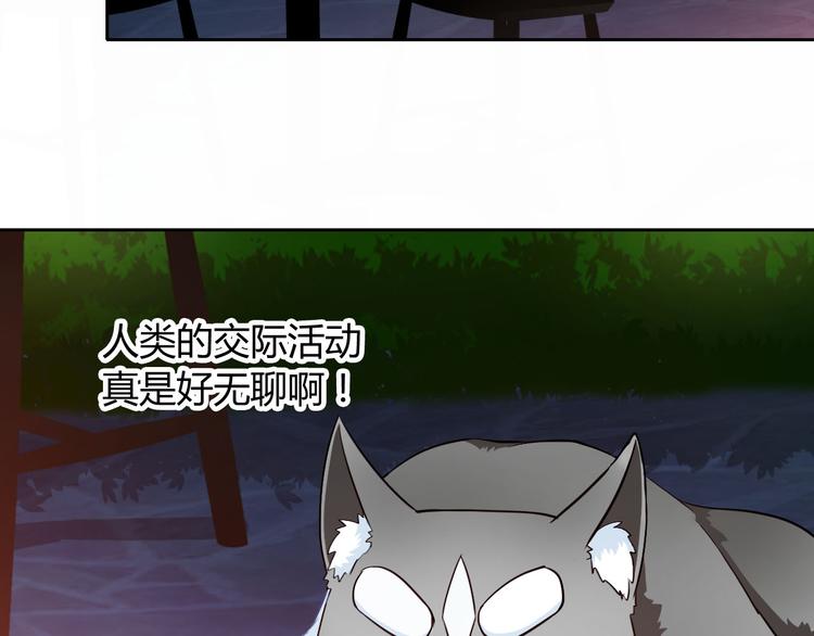 第33话 我被泰迪盯上了！73