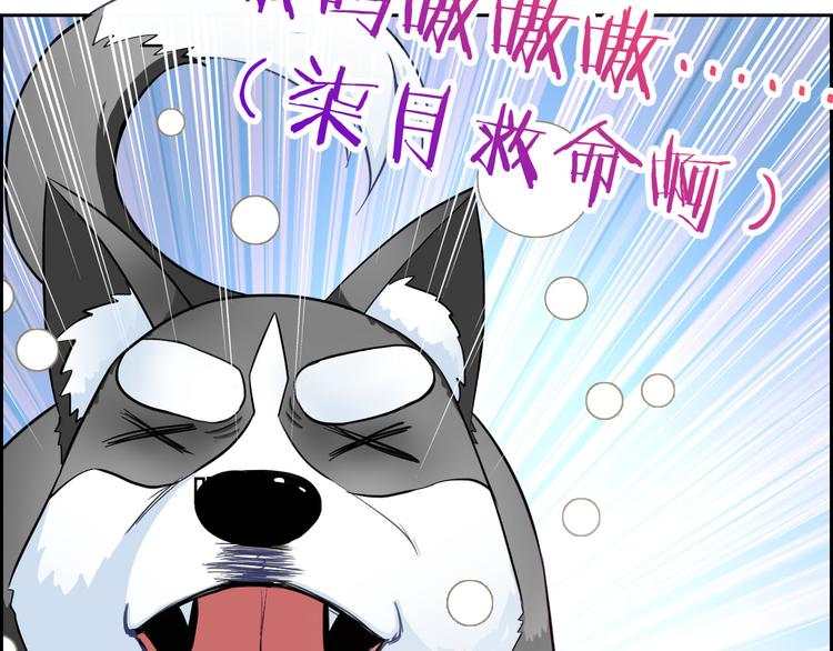 第33话 我被泰迪盯上了！89