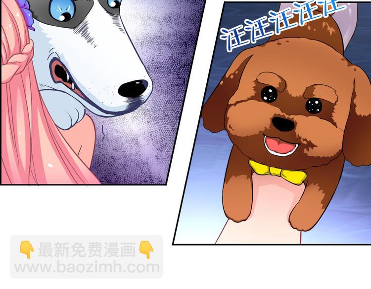 第33话 我被泰迪盯上了！97