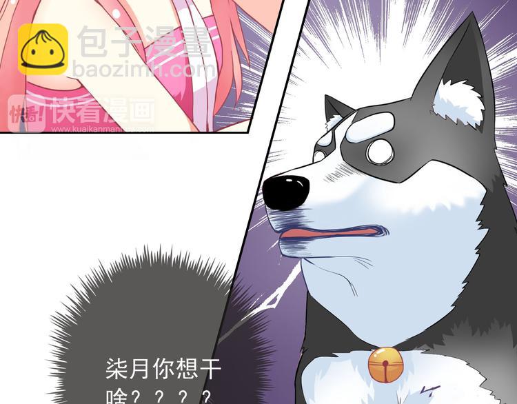 第35话 这只狗快成精了吧！？1