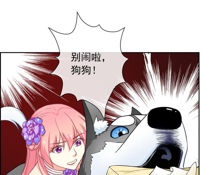 第35话 这只狗快成精了吧！？27