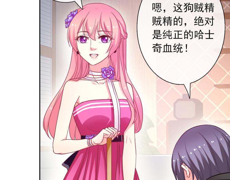 第35话 这只狗快成精了吧！？65