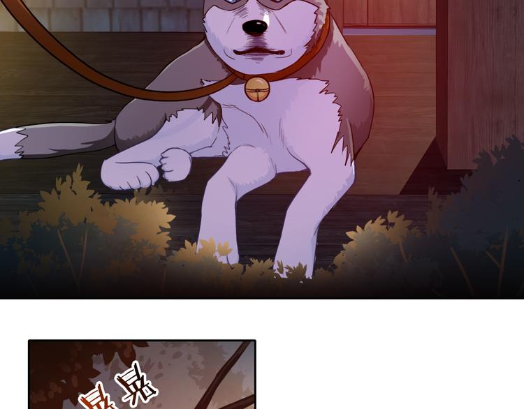 第35话 这只狗快成精了吧！？68