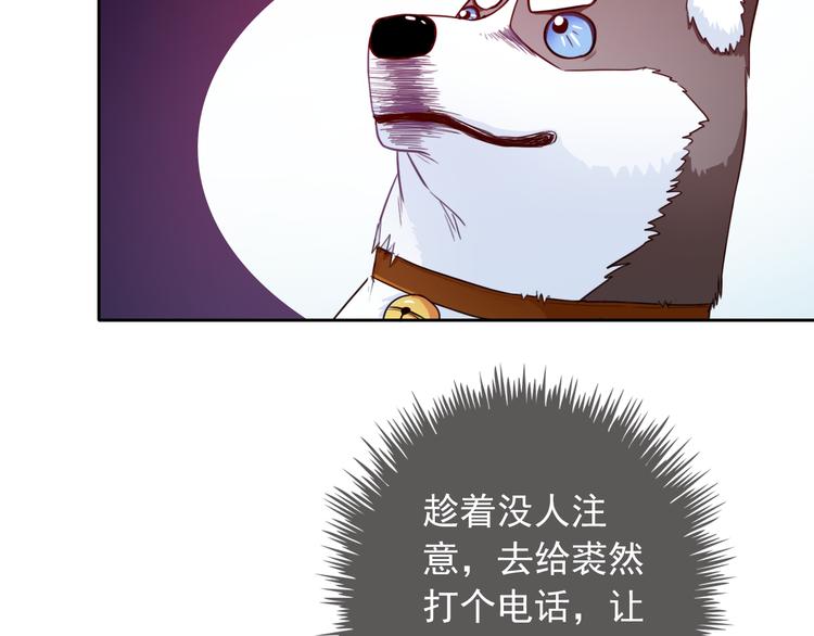 第35话 这只狗快成精了吧！？70