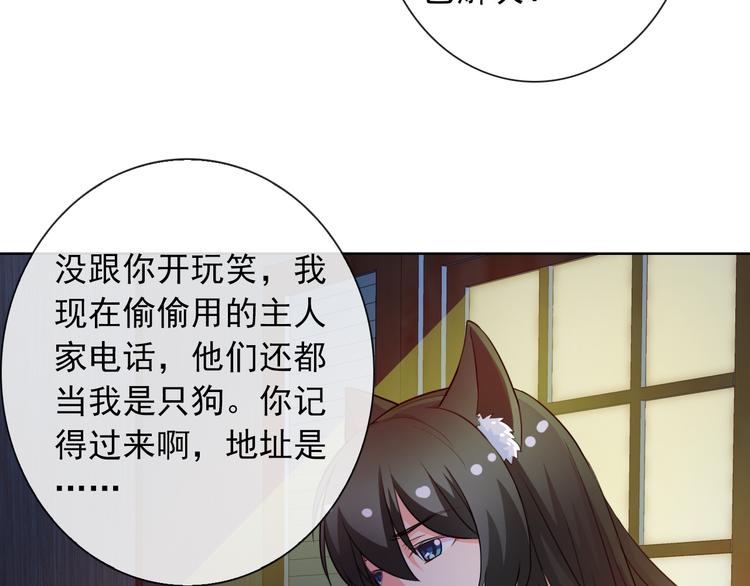 第35话 这只狗快成精了吧！？81