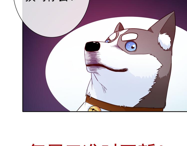 第35话 这只狗快成精了吧！？88