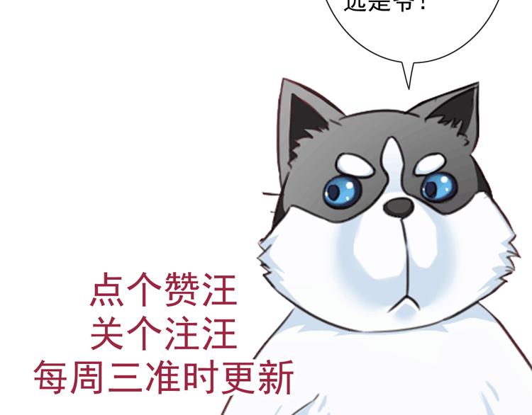 第51话 可恶的狗子97