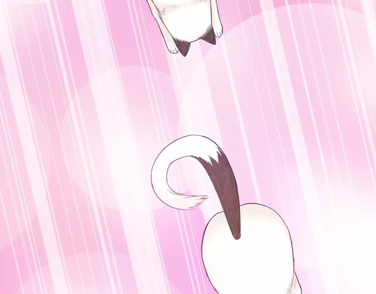 第75话 傻猫？蠢狗？47