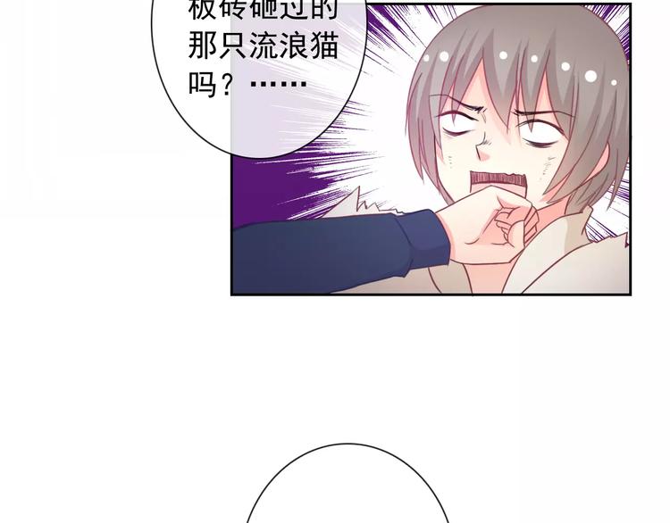 第75话 傻猫？蠢狗？60