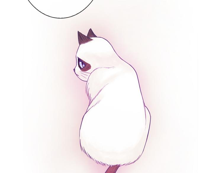 第75话 傻猫？蠢狗？77