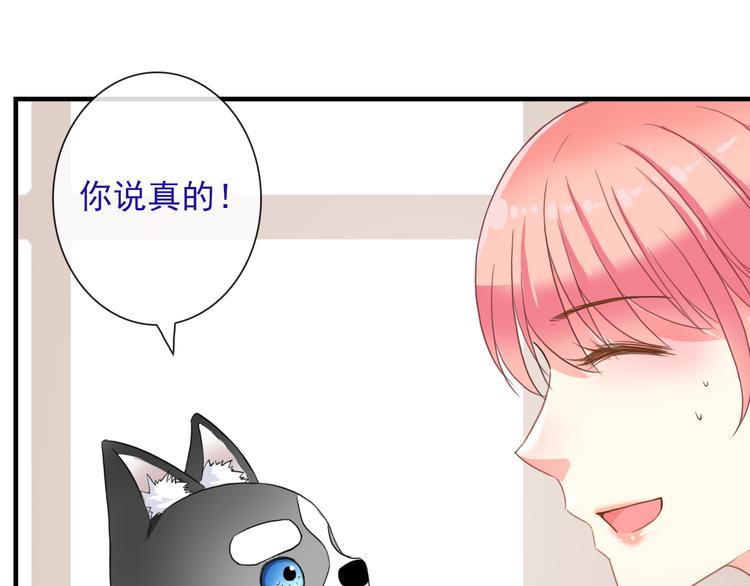 番外  二哈的烦恼~36