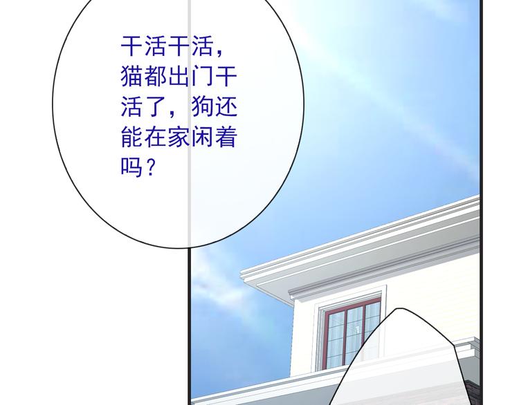 第24话 可爱的小聪明109