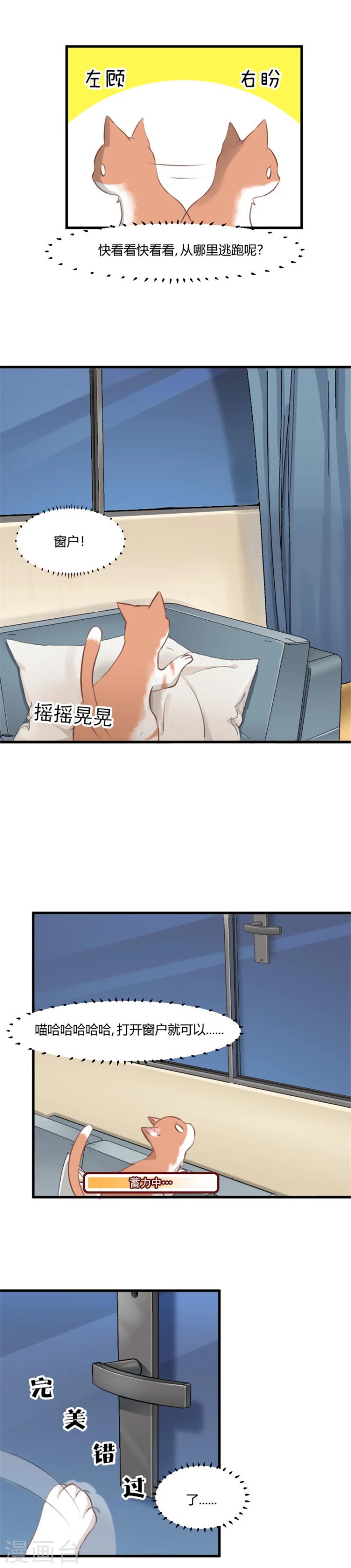 第6话 成功引起我的注意1