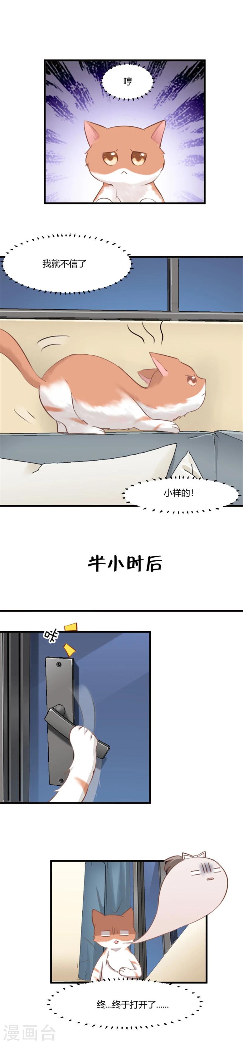 第6话 成功引起我的注意2