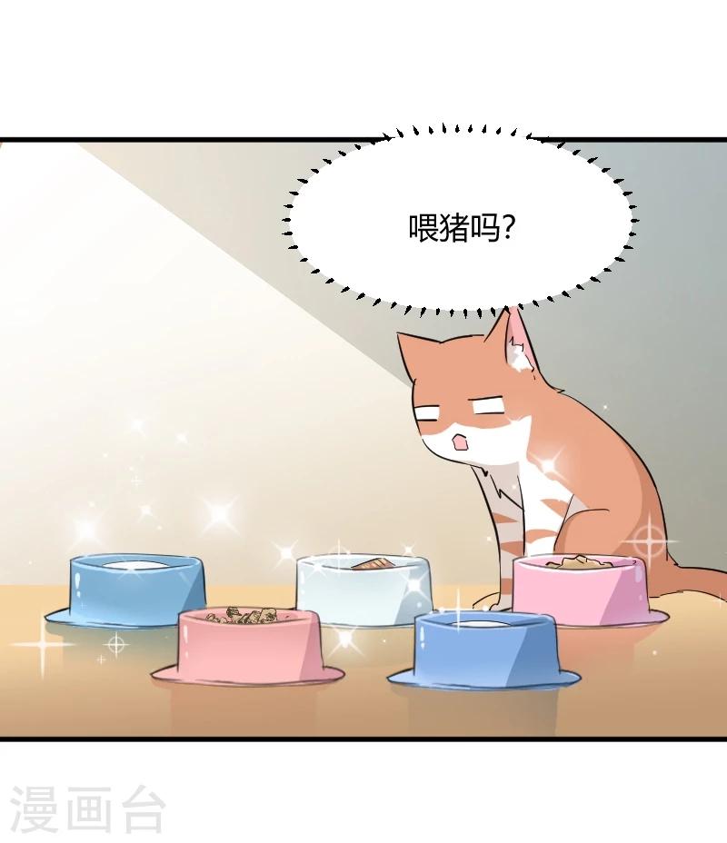 第18话 初见7