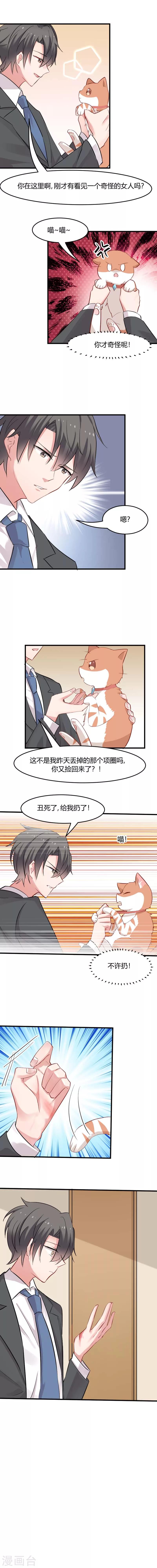 第22话 撸猫不成反被挠1